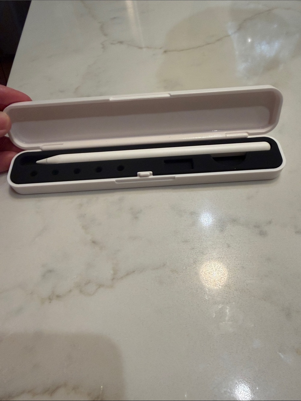 Apple White and Black Apple Pencil with White Case